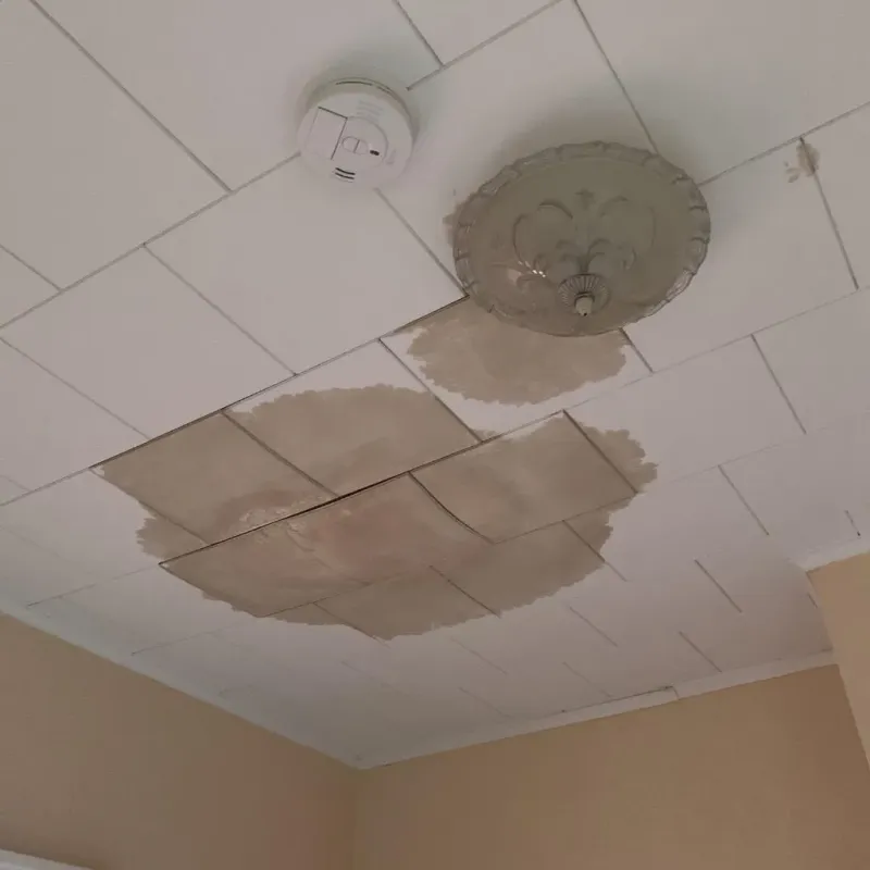 Ceiling Water Damage Repair in Bear Rocks, PA