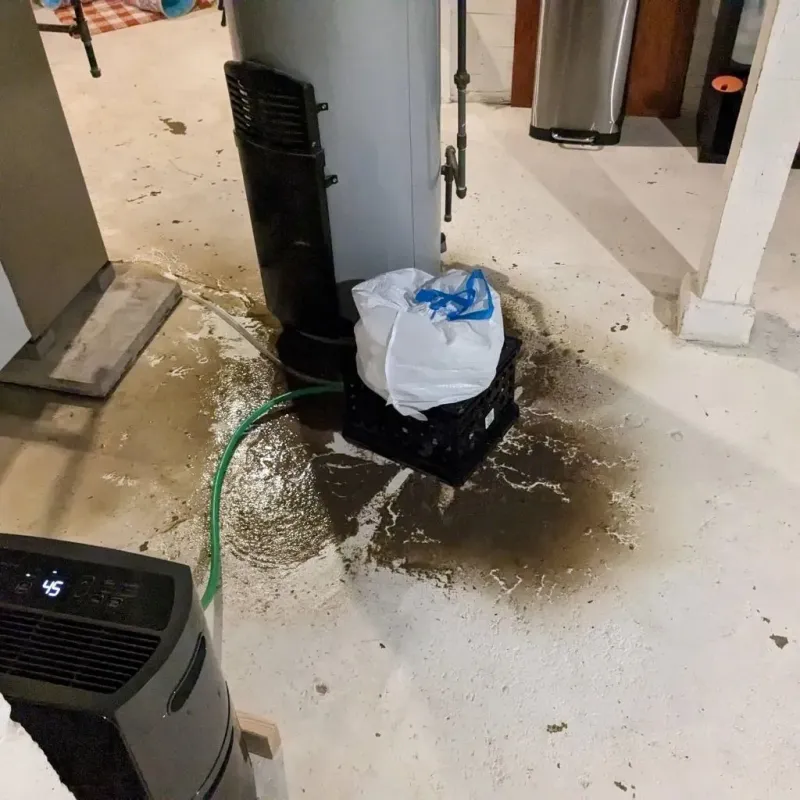 Sewage Backup Cleanup Service in Bear Rocks, PA